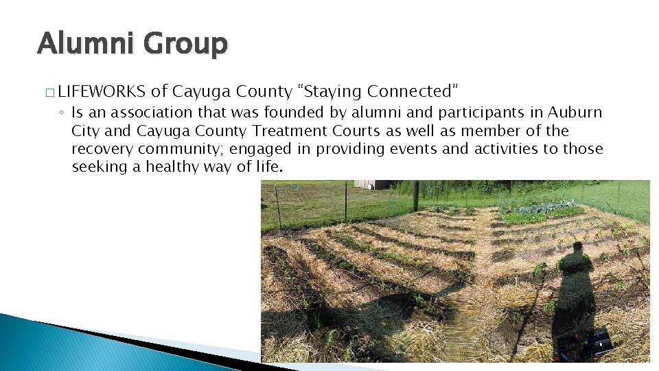 Alumni Group � LIFEWORKS of Cayuga County “Staying Connected” ◦ Is an association that