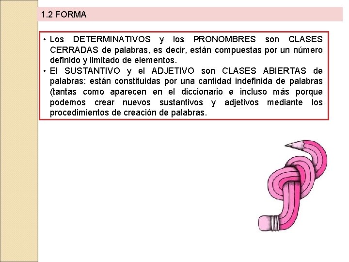 1. 2 FORMA • Los DETERMINATIVOS y los PRONOMBRES son CLASES CERRADAS de palabras,