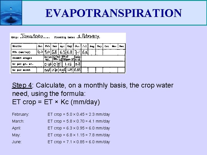 EVAPOTRANSPIRATION Step 4: Calculate, on a monthly basis, the crop water need, using the