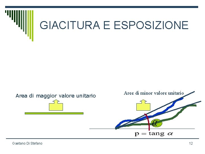 GIACITURA E ESPOSIZIONE Area di maggior valore unitario Gaetano Di Stefano Aree di minor