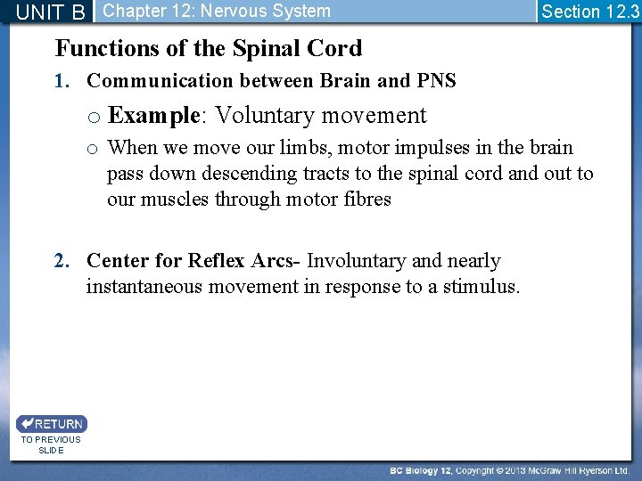 UNIT B Chapter 12: Nervous System Section 12. 3 Functions of the Spinal Cord