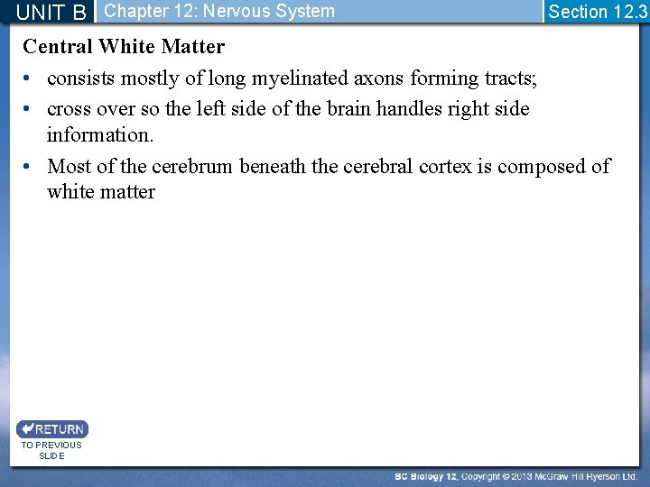 UNIT B Chapter 12: Nervous System Section 12. 3 Central White Matter • consists