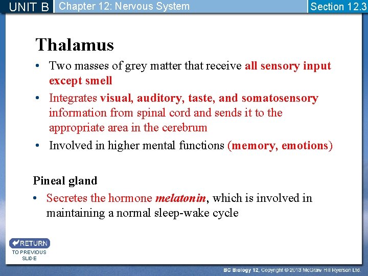 UNIT B Chapter 12: Nervous System Section 12. 3 Thalamus • Two masses of