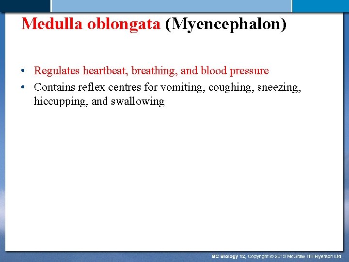 Medulla oblongata (Myencephalon) • Regulates heartbeat, breathing, and blood pressure • Contains reflex centres