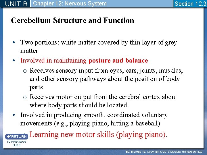 UNIT B Chapter 12: Nervous System Section 12. 3 Cerebellum Structure and Function •