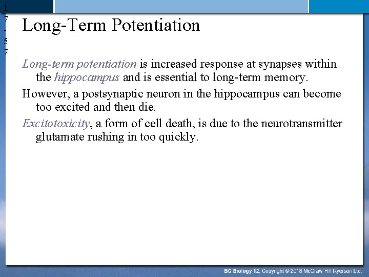 1 7 5 7 Long-Term Potentiation Long-term potentiation is increased response at synapses within