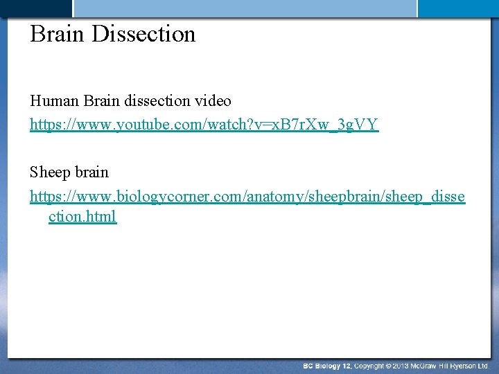 Brain Dissection Human Brain dissection video https: //www. youtube. com/watch? v=x. B 7 r.