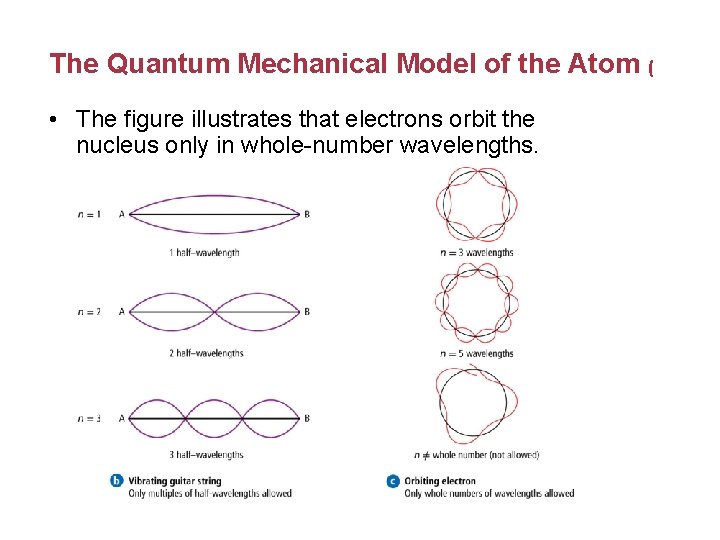 The Quantum Mechanical Model of the Atom ( • The figure illustrates that electrons