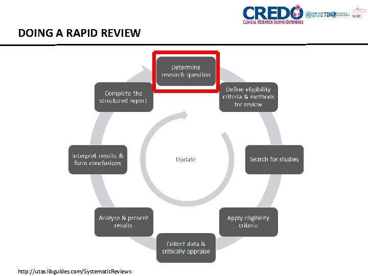 DOING A RAPID REVIEW http: //utas. libguides. com/Systematic. Reviews 