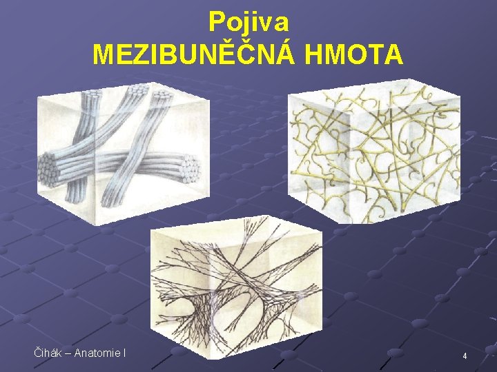 Pojiva MEZIBUNĚČNÁ HMOTA Čihák – Anatomie I 4 