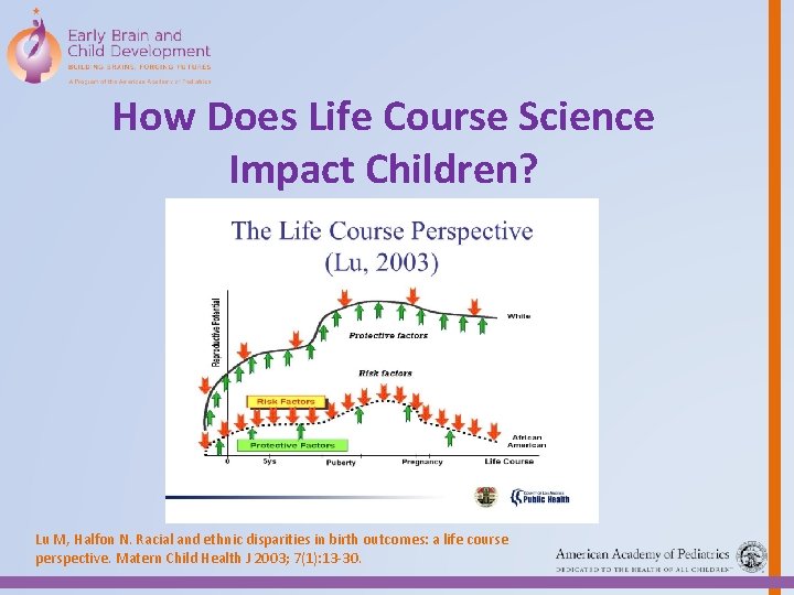 How Does Life Course Science Impact Children? Lu M, Halfon N. Racial and ethnic