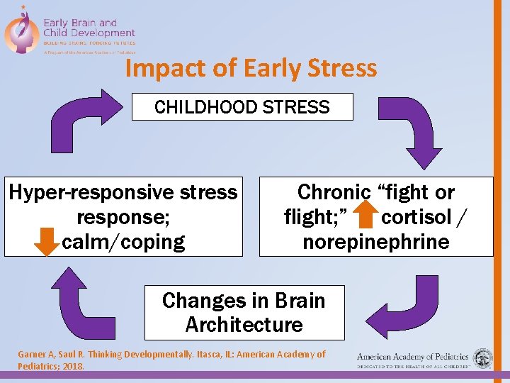 Impact of Early Stress CHILDHOOD TOXIC STRESS Hyper-responsive stress response; calm/coping Chronic “fight or