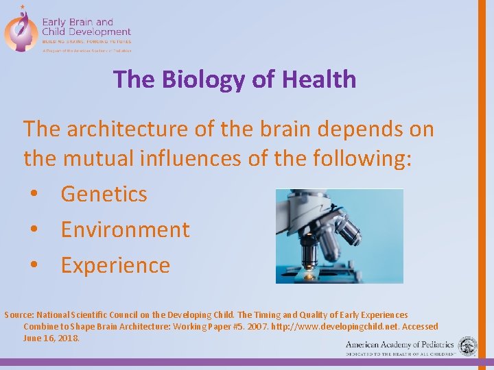 The Biology of Health The architecture of the brain depends on the mutual influences