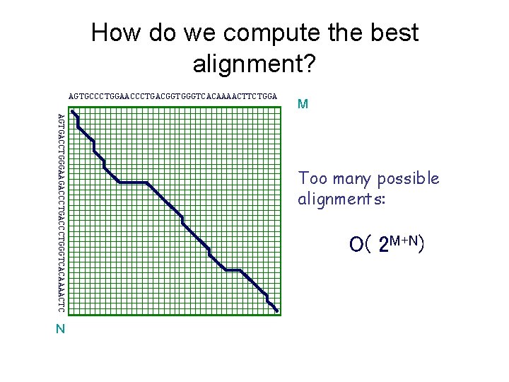 How do we compute the best alignment? AGTGCCCTGGAACCCTGACGGTGGGTCACAAAACTTCTGGA AGTGACCTGGGAAGACCCTGGGTCACAAAACTC N M Too many possible