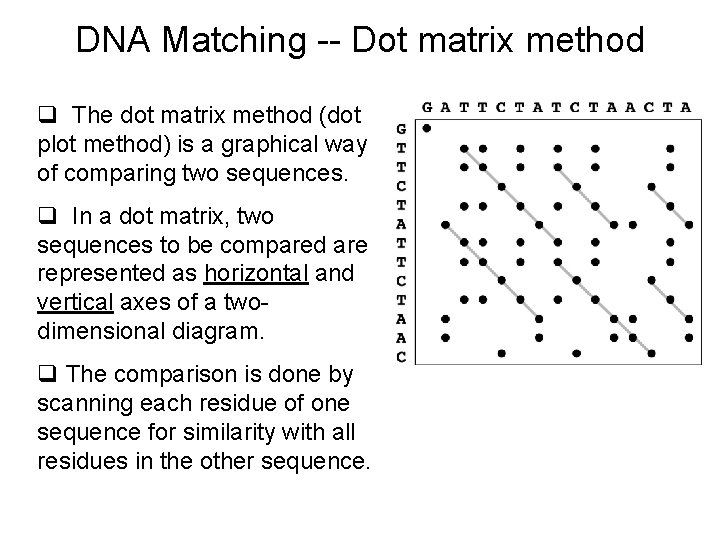 DNA Matching -- Dot matrix method q The dot matrix method (dot plot method)