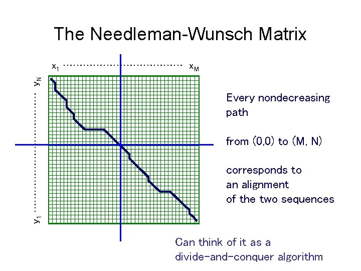 The Needleman-Wunsch Matrix y 1 ……………… y. N x 1 ……………… x. M Every