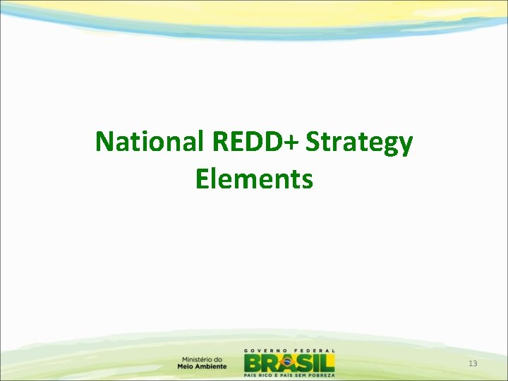 National REDD+ Strategy Elements 13 