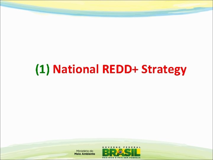 (1) National REDD+ Strategy 