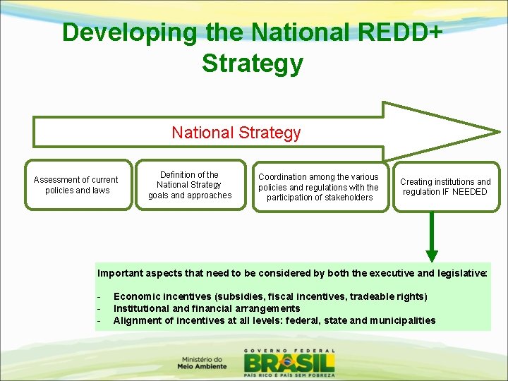 Developing the National REDD+ Strategy National Strategy Assessment of current policies and laws Definition