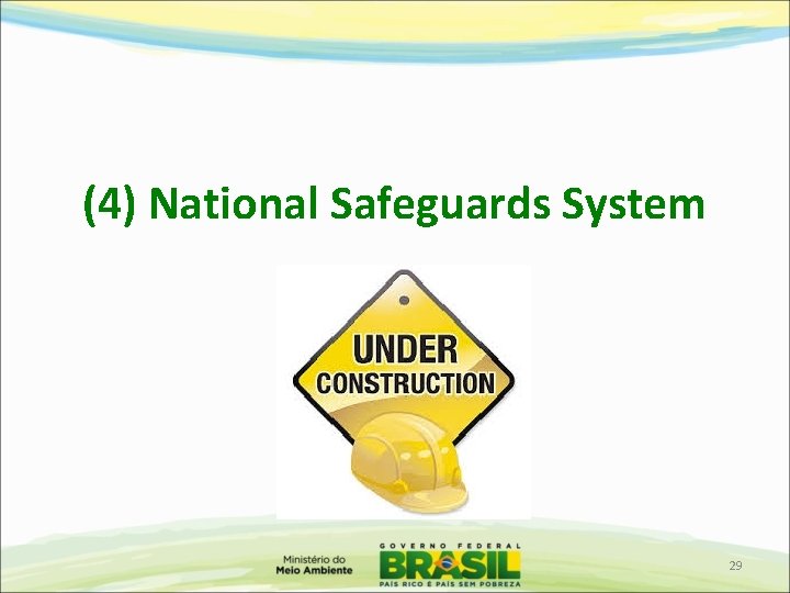 (4) National Safeguards System 29 