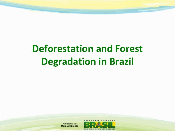 Deforestation and Forest Degradation in Brazil 3 