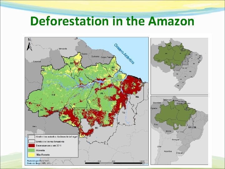 Deforestation in the Amazon 