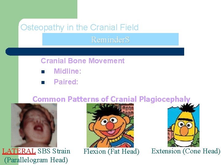 Osteopathy in the Cranial Field Reminder. S Cranial Bone Movement n Midline: Flexion/Extension n