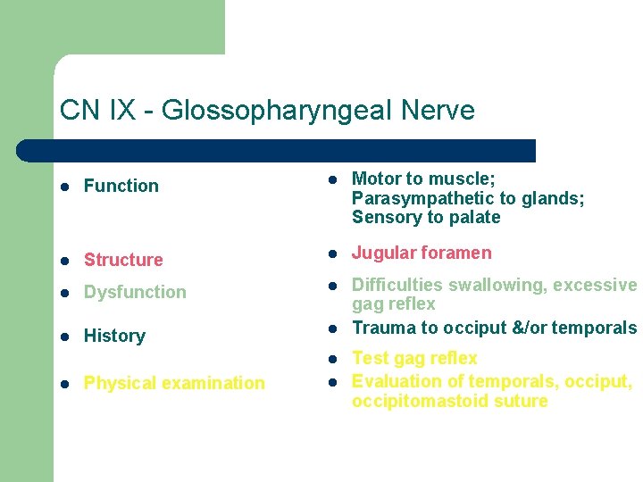 CN IX - Glossopharyngeal Nerve l Function l Motor to muscle; Parasympathetic to glands;