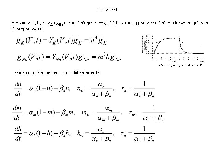 HH model HH zauważyli, że g. K i g. Na nie są funkcjami exp(-t/t)