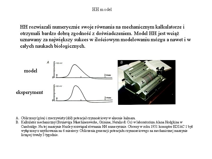 HH model HH rozwiazali numerycznie swoje równania na mechanicznym kalkulatorze i otrzymali bardzo dobrą