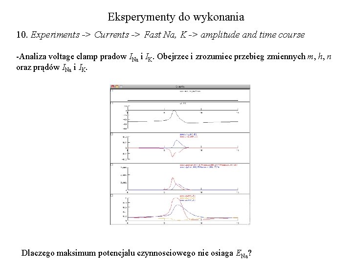 Eksperymenty do wykonania 10. Experiments -> Currents -> Fast Na, K -> amplitude and