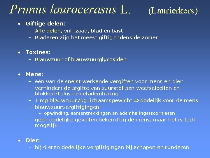 Prunus laurocerasus L. (Laurierkers) • Giftige delen: – Alle delen, vnl. zaad, blad en