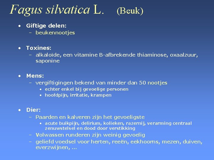 Fagus silvatica L. (Beuk) • Giftige delen: – beukennootjes • Toxines: – alkaloïde, een