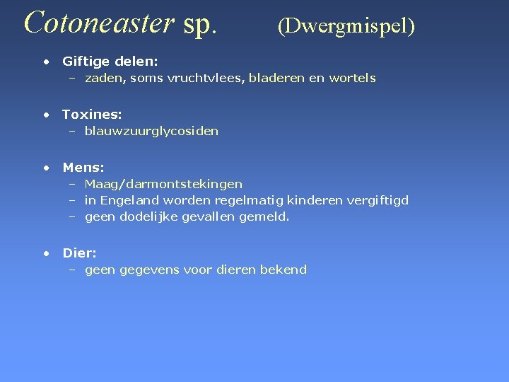 Cotoneaster sp. (Dwergmispel) • Giftige delen: – zaden, soms vruchtvlees, bladeren en wortels •