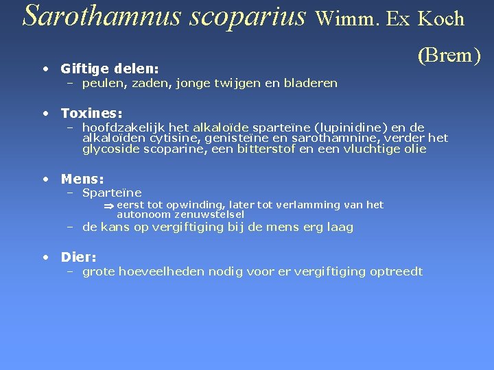 Sarothamnus scoparius Wimm. Ex Koch • Giftige delen: (Brem) – peulen, zaden, jonge twijgen