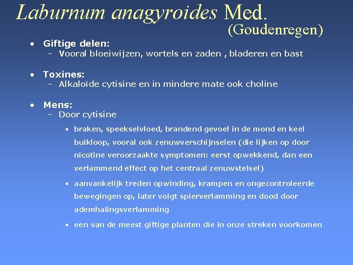 Laburnum anagyroides Med. • Giftige delen: (Goudenregen) – Vooral bloeiwijzen, wortels en zaden ,