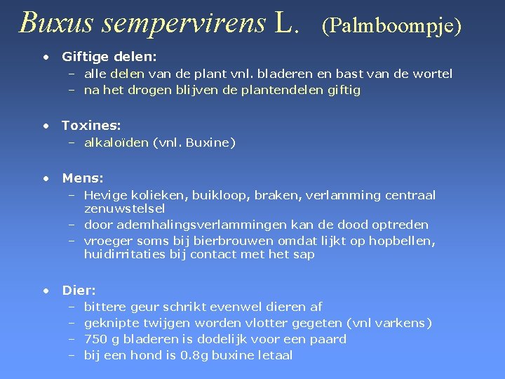 Buxus sempervirens L. (Palmboompje) • Giftige delen: – alle delen van de plant vnl.