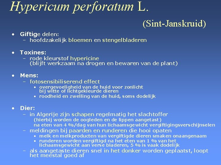 Hypericum perforatum L. (Sint-Janskruid) • Giftige delen: – hoofdzakelijk bloemen en stengelbladeren • Toxines: