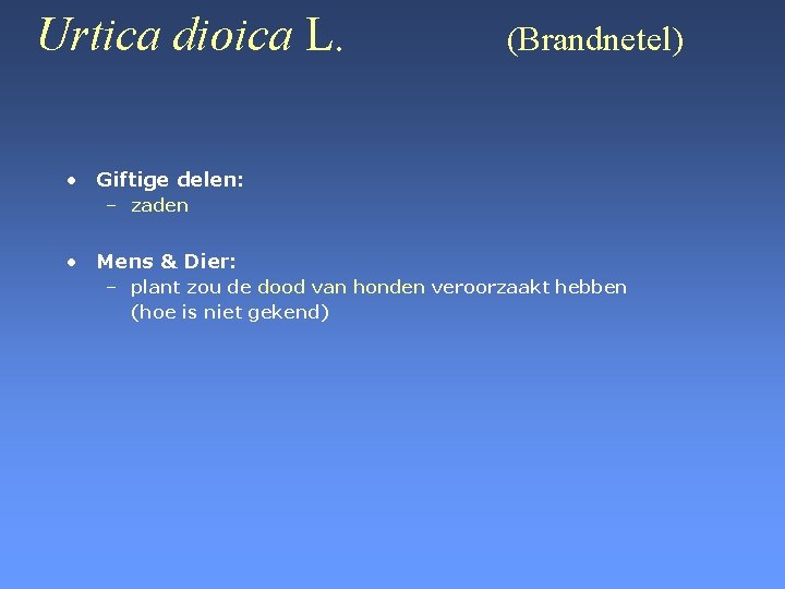 Urtica dioica L. (Brandnetel) • Giftige delen: – zaden • Mens & Dier: –