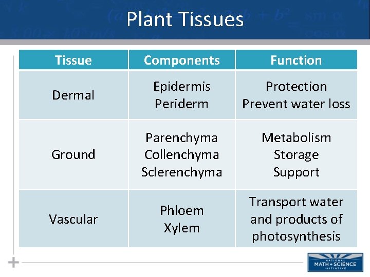 Plant Tissues Tissue Components Function Dermal Epidermis Periderm Protection Prevent water loss Ground Parenchyma