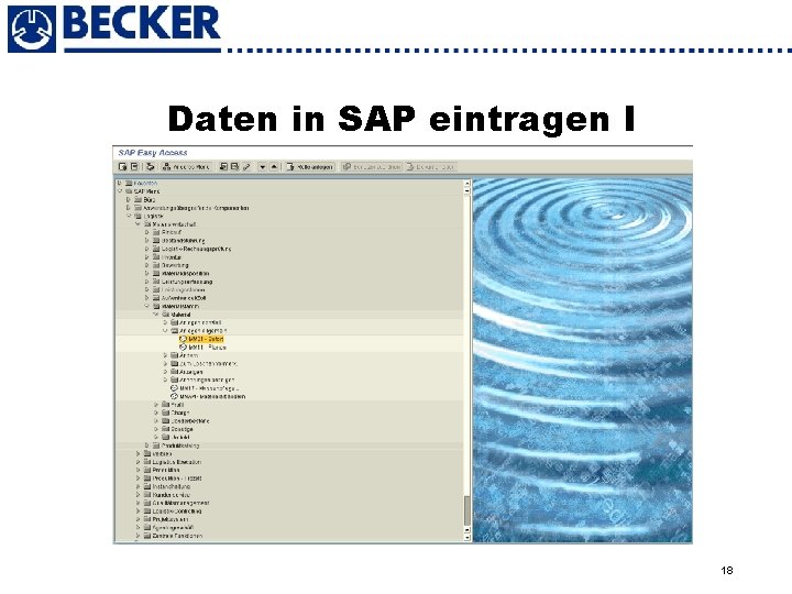 Daten in SAP eintragen I 18 