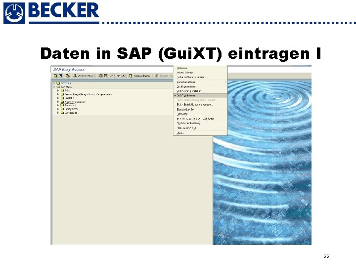 Daten in SAP (Gui. XT) eintragen I 22 
