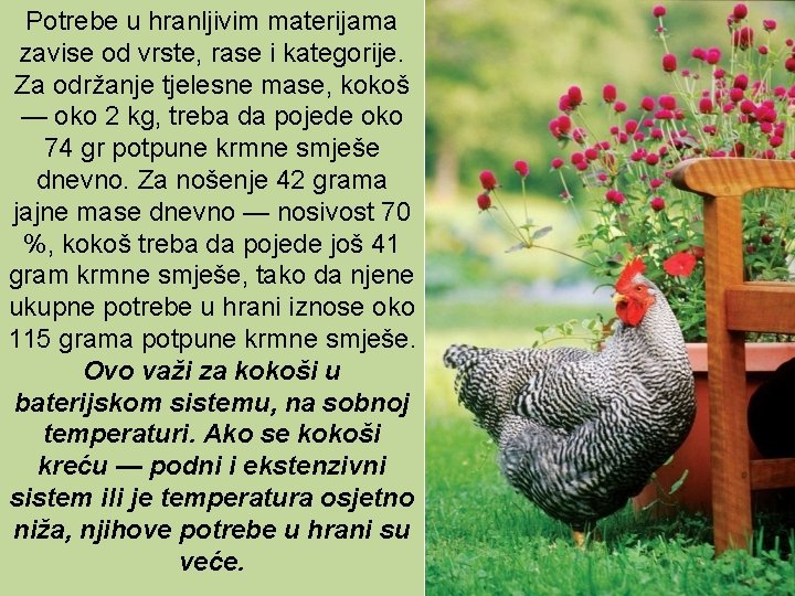 Potrebe u hranljivim materijama zavise od vrste, rase i kategorije. Za održanje tjelesne mase,