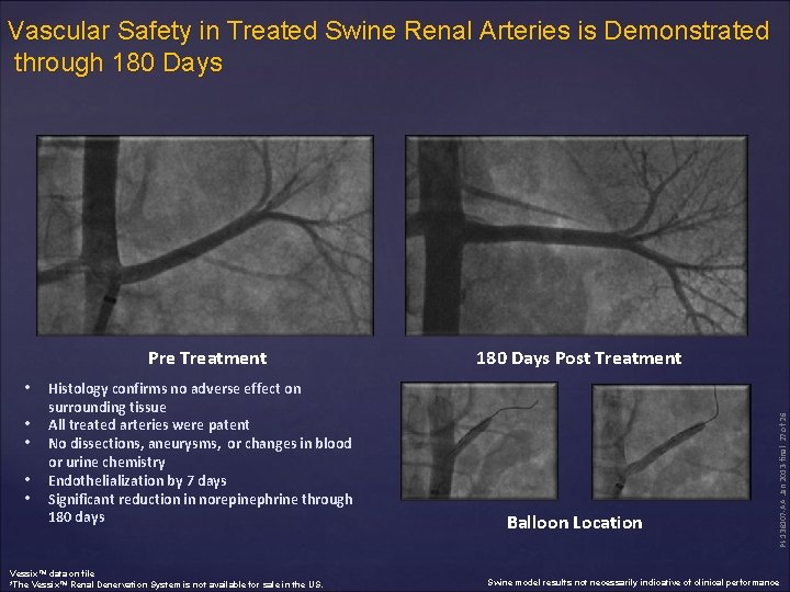 Vascular Safety in Treated Swine Renal Arteries is Demonstrated through 180 Days Pre Treatment