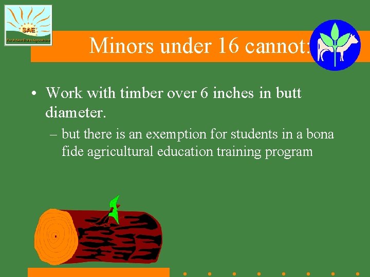 Minors under 16 cannot: • Work with timber over 6 inches in butt diameter.