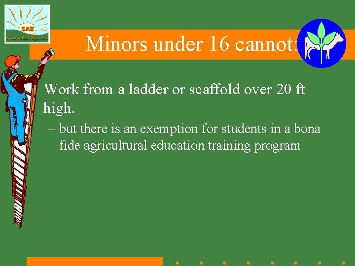 Minors under 16 cannot: • Work from a ladder or scaffold over 20 ft