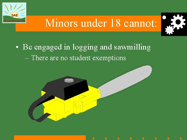 Minors under 18 cannot: • Be engaged in logging and sawmilling – There are