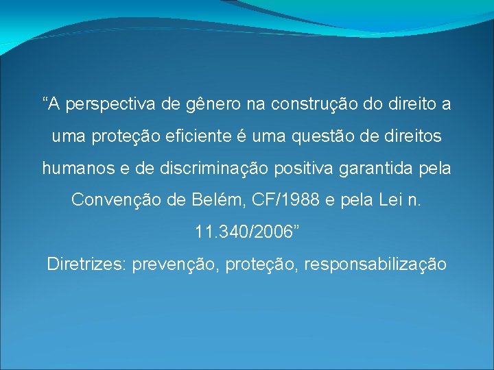 “A perspectiva de gênero na construção do direito a uma proteção eficiente é uma