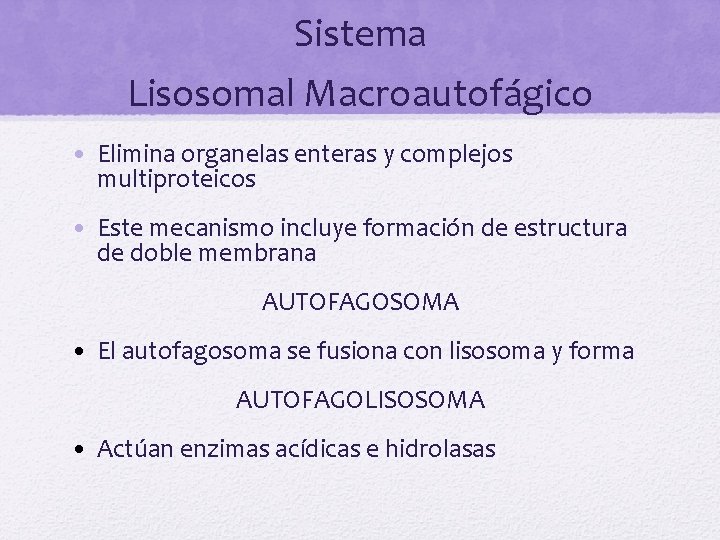 Sistema Lisosomal Macroautofágico • Elimina organelas enteras y complejos multiproteicos • Este mecanismo incluye