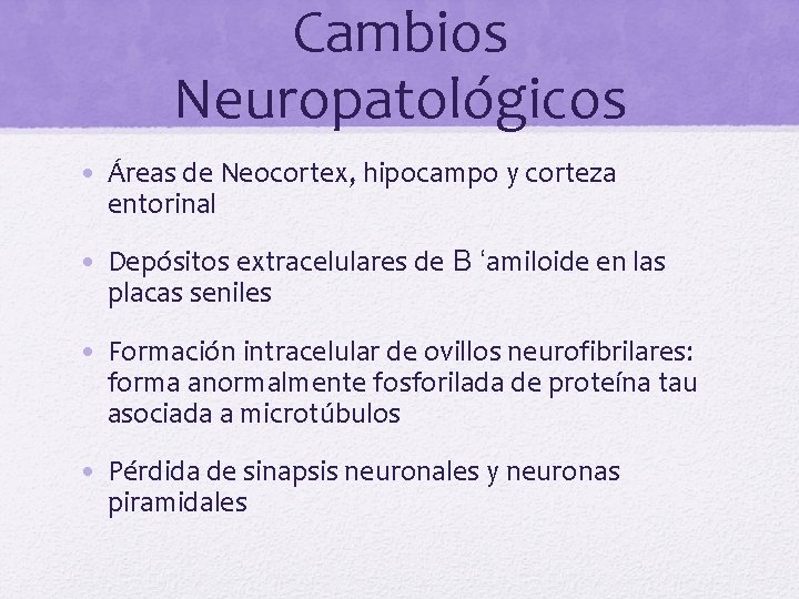 Cambios Neuropatológicos • Áreas de Neocortex, hipocampo y corteza entorinal • Depósitos extracelulares de